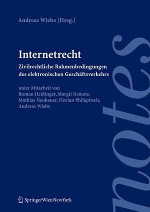 Internetrecht: Zivilrechtliche Rahmenbedingungen des elektronischen Geschäftsverkehrs (Springer Notes Rechtswissenschaft)