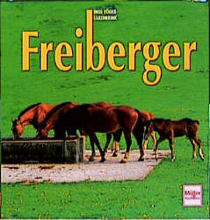 Freiberger