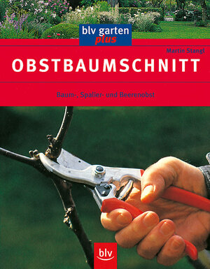 Obstbaumschnitt: Baum-, Spalier- und Beerenobst