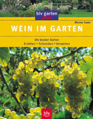 Wein im Garten