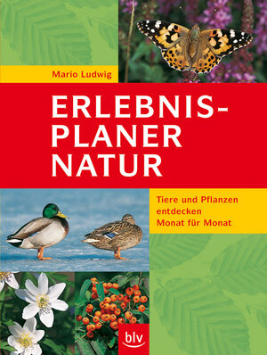 Erlebnis-Planer Natur: Tiere und Pflanzen entdecken Monat für Monat