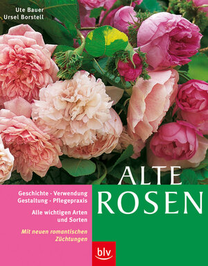 Alte Rosen: Alle wichtigen Arten und Sorten im Porträt