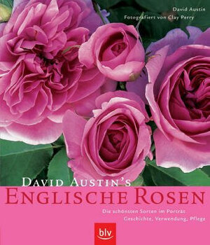 David Austin's Englische Rosen