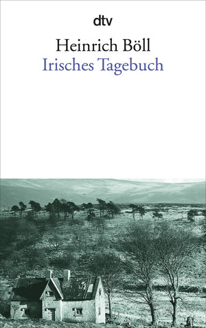 Irisches Tagebuch. dtv 1, Ungekuerzte Ausgabe ; 3423000015