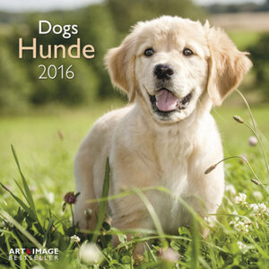 Buchcover Hunde 2016 A&I | Jana Weichelt | EAN 4002725777614 | ISBN 4002725777614 | ISBN 4002725777614