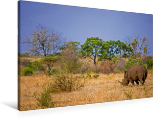 Buchcover Premium Textil-Leinwand 90 cm x 60 cm quer, Nashorn im Krüger Nationalpark | Wandbild, Bild auf Keilrahmen, Fertigbild auf echter Leinwand, Leinwanddruck | Stefan Schütter | EAN 4056502714996 | ISBN 4056502714996 | ISBN 4056502714996