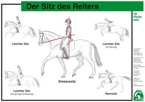 Buchcover Der Sitz des Reiters  | EAN 4260292520570 | ISBN 4260292520570 | ISBN 4260292520570