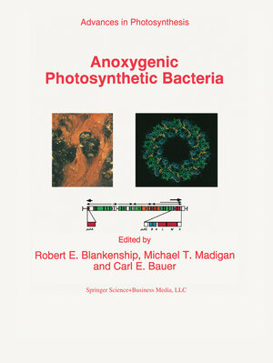 Buchcover Anoxygenic Photosynthetic Bacteria  | EAN 9780306479540 | ISBN 0-306-47954-0 | ISBN 978-0-306-47954-0