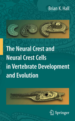 Buchcover The Neural Crest and Neural Crest Cells in Vertebrate Development and Evolution | Brian K. Hall | EAN 9780387098456 | ISBN 0-387-09845-3 | ISBN 978-0-387-09845-6