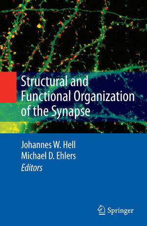 Buchcover Structural and Functional Organization of the Synapse  | EAN 9780387772325 | ISBN 0-387-77232-4 | ISBN 978-0-387-77232-5