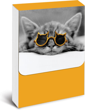 Buchcover Pocket Notes: Kool Kat – Notizblock im praktischen Taschenformat:Coole Katze | EAN 9780767162661 | ISBN 0-7671-6266-8 | ISBN 978-0-7671-6266-1