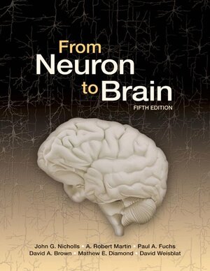 Buchcover From Neuron to Brain | John G. Nicholls | EAN 9780878936090 | ISBN 0-87893-609-2 | ISBN 978-0-87893-609-0