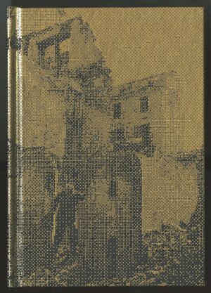 Buchcover Alfredo Jaar. Venezia Venezia | Madeleine Grynsztejn | EAN 9780989331739 | ISBN 0-9893317-3-3 | ISBN 978-0-9893317-3-9
