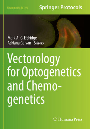 Buchcover Vectorology for Optogenetics and Chemogenetics  | EAN 9781071629208 | ISBN 1-0716-2920-4 | ISBN 978-1-0716-2920-8
