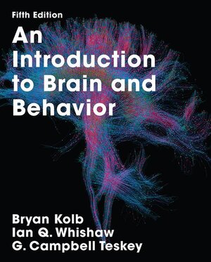 Buchcover An Introduction to Brain and Behavior | Bryan Kolb | EAN 9781319154073 | ISBN 1-319-15407-7 | ISBN 978-1-319-15407-3