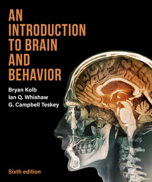 Buchcover An Introduction to Brain and Behavior | Bryan Kolb | EAN 9781319243562 | ISBN 1-319-24356-8 | ISBN 978-1-319-24356-2