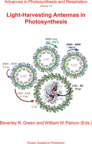 Buchcover Multiple Stressors: A Challenge for the Future  | EAN 9781402063350 | ISBN 1-4020-6335-0 | ISBN 978-1-4020-6335-0