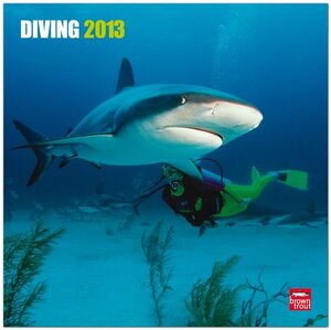 Buchcover Diving 2013  | EAN 9781421600130 | ISBN 1-4216-0013-7 | ISBN 978-1-4216-0013-0