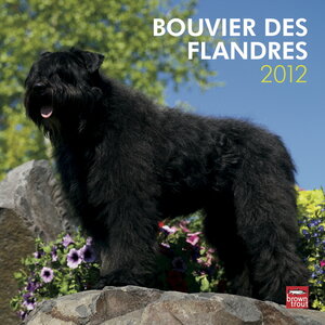 Buchcover Bouvier des Flandres 2012  | EAN 9781421676746 | ISBN 1-4216-7674-5 | ISBN 978-1-4216-7674-6