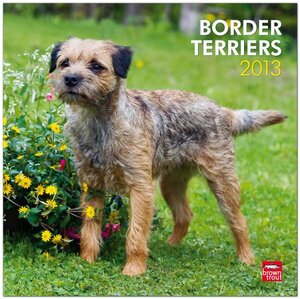 Buchcover Border Terriers 2013  | EAN 9781421697697 | ISBN 1-4216-9769-6 | ISBN 978-1-4216-9769-7