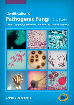 Buchcover Identification of Pathogenic Fungi | Colin K. Campbell | EAN 9781444330700 | ISBN 1-4443-3070-5 | ISBN 978-1-4443-3070-0