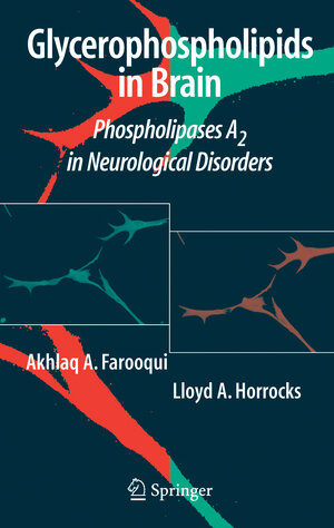 Buchcover Glycerophospholipids in the Brain | Akhlaq A. Farooqui | EAN 9781493902101 | ISBN 1-4939-0210-5 | ISBN 978-1-4939-0210-1