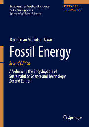 Buchcover Fossil Energy | EAN 9781493997626 | ISBN 1-4939-9762-9 | ISBN 978-1-4939-9762-6