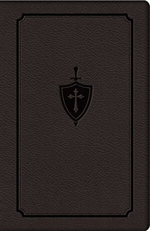 Buchcover Manual for Conquering Deadly Sin | Dennis Kolinski S. J. C. | EAN 9781505109078 | ISBN 1-5051-0907-8 | ISBN 978-1-5051-0907-8