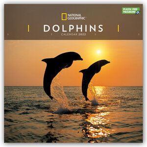 Buchcover National Geographic Dolphins – Delfine 2022 | EAN 9781529819403 | ISBN 1-5298-1940-7 | ISBN 978-1-5298-1940-3