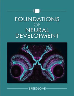 Buchcover Foundations of Neural Development | S Marc Breedlove | EAN 9781605355795 | ISBN 1-60535-579-8 | ISBN 978-1-60535-579-5