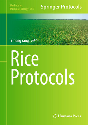 Buchcover Rice Protocols | EAN 9781627031943 | ISBN 1-62703-194-4 | ISBN 978-1-62703-194-3