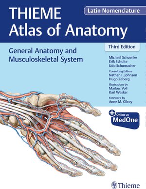 Buchcover General Anatomy and Musculoskeletal System (THIEME Atlas of Anatomy), Latin Nomenclature | Michael Schuenke | EAN 9781684200849 | ISBN 1-68420-084-9 | ISBN 978-1-68420-084-9