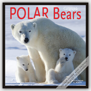 Buchcover Polar Bears 2016 - Eisbären - 16-Monatskalender | EAN 9781770985575 | ISBN 1-77098-557-3 | ISBN 978-1-77098-557-5