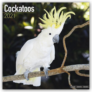 Buchcover Cockatoos - Kakadus 2021  | EAN 9781785809590 | ISBN 1-78580-959-8 | ISBN 978-1-78580-959-0
