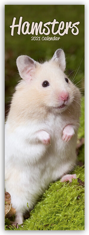 Buchcover Hamsters - Hamster 2021 | EAN 9781785809910 | ISBN 1-78580-991-1 | ISBN 978-1-78580-991-0