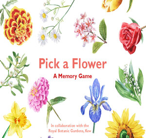 Buchcover Pick a Flower | Anna Day | EAN 9781786272256 | ISBN 1-78627-225-3 | ISBN 978-1-78627-225-6