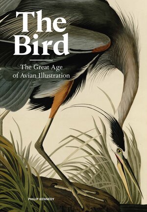 Buchcover The Bird | Philip Kennedy | EAN 9781786277312 | ISBN 1-78627-731-X | ISBN 978-1-78627-731-2