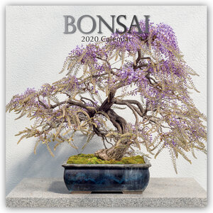 Buchcover Bonsai 2020 - 16-Monatskalender | EAN 9781788389426 | ISBN 1-78838-942-5 | ISBN 978-1-78838-942-6