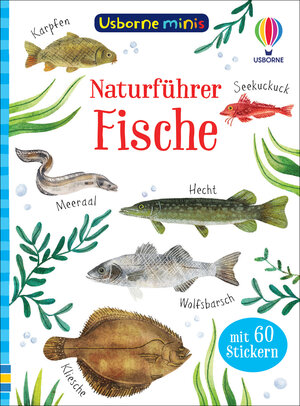 Buchcover Usborne Minis Naturführer: Fische | Kate Nolan | EAN 9781789417562 | ISBN 1-78941-756-2 | ISBN 978-1-78941-756-2