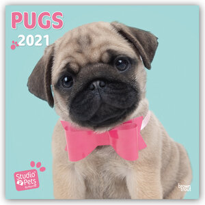 Buchcover Pugs - Möpse 2021 | Myrna Huijing | EAN 9781789933345 | ISBN 1-78993-334-X | ISBN 978-1-78993-334-5