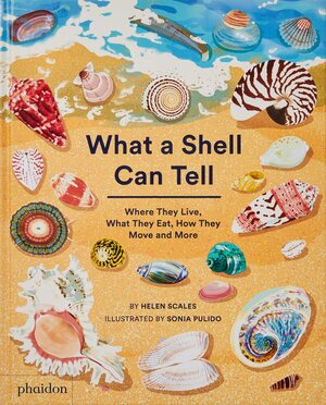 Buchcover What A Shell Can Tell | Helen Scales | EAN 9781838664305 | ISBN 1-83866-430-0 | ISBN 978-1-83866-430-5
