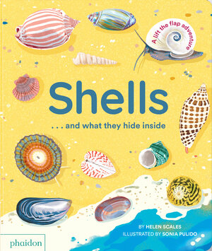 Buchcover Shells... and what they hide inside | Helen Scales | EAN 9781838667887 | ISBN 1-83866-788-1 | ISBN 978-1-83866-788-7