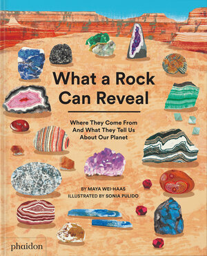 Buchcover What a Rock Can Reveal | Maya Wei-Haas | EAN 9781838667894 | ISBN 1-83866-789-X | ISBN 978-1-83866-789-4