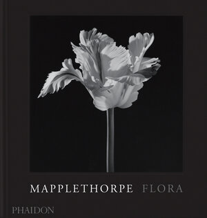 Buchcover Mapplethorpe Flora | Robert Mapplethorpe | EAN 9781838668211 | ISBN 1-83866-821-7 | ISBN 978-1-83866-821-1