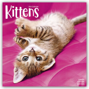 Buchcover Kittens - Kätzchen 2022 - 16-Monatskalender | EAN 9781839412677 | ISBN 1-83941-267-4 | ISBN 978-1-83941-267-7