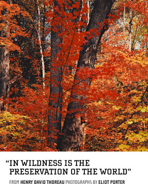 Buchcover In Wildness is the Preservation of the World | Henry David Thoreau | EAN 9781934429730 | ISBN 1-934429-73-2 | ISBN 978-1-934429-73-0