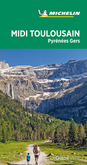 Buchcover Michelin Le Guide Vert Pyrénnées Toulouse Gert | EAN 9782067245013 | ISBN 2-06-724501-5 | ISBN 978-2-06-724501-3