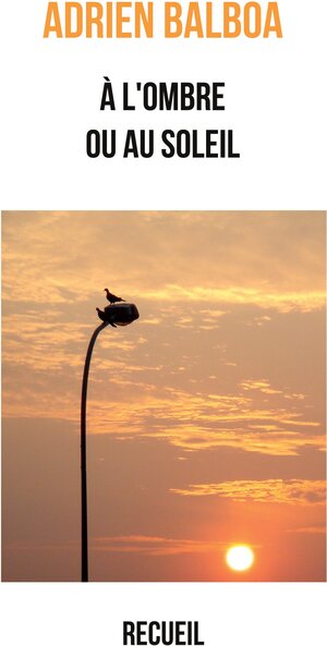 Buchcover À l'ombre ou au soleil | Adrien Balboa | EAN 9782322010806 | ISBN 2-322-01080-4 | ISBN 978-2-322-01080-6
