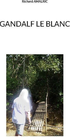 Buchcover Gandalf le Blanc | Richard Amalric | EAN 9782322449767 | ISBN 2-322-44976-8 | ISBN 978-2-322-44976-7