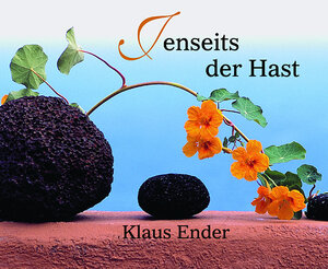 Buchcover Jenseits der Hast | Klaus Ender | EAN 9783000235139 | ISBN 3-00-023513-2 | ISBN 978-3-00-023513-9